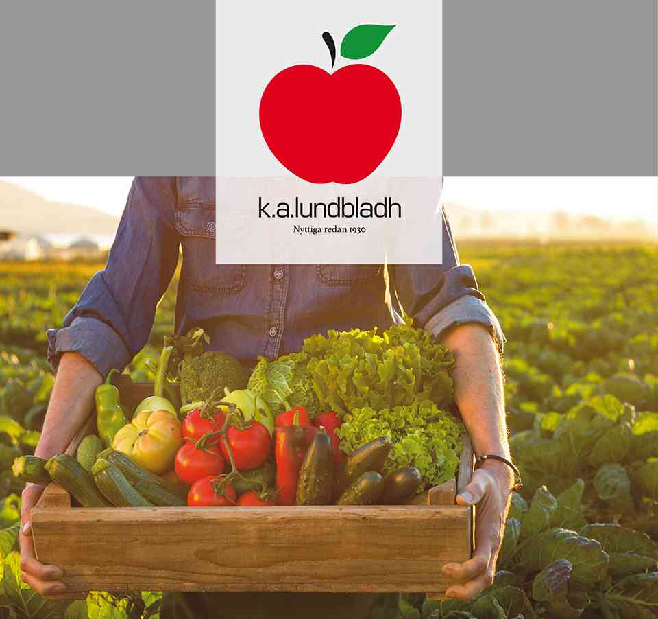KAlsmobilaSida02